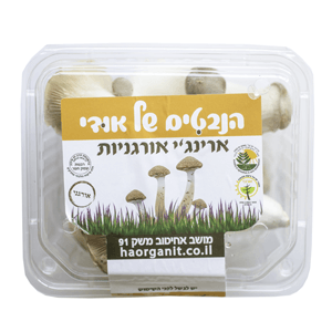 פטריות ארינגי