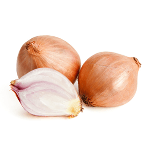 בצלצלי שאלוט