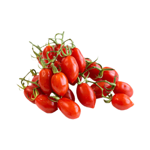 עגבניות שרי תמר