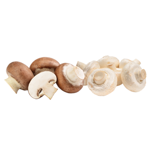 דואט פטריות שמפיניון ופורטובלו