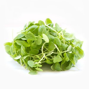 מיקרו בזיל ירוק