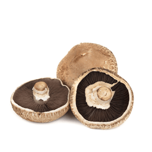 פטריות פורטובלו