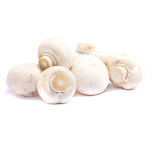 פטריות שמפיניון