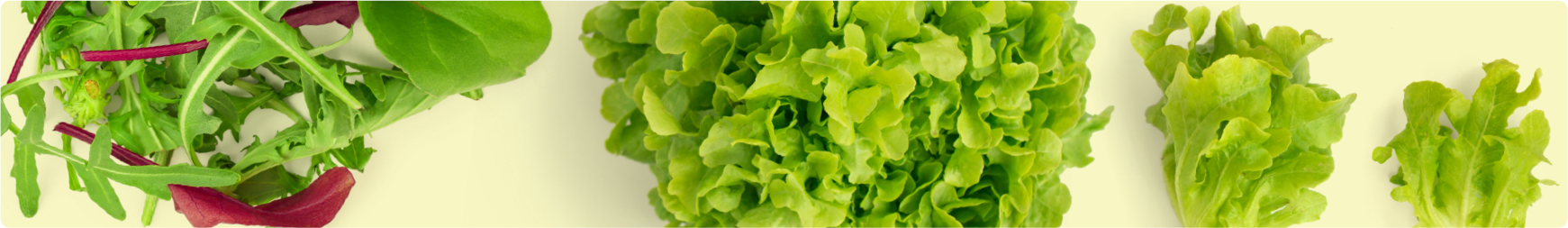 emre-ersahin-prTfQD6RHjY-unsplash Copy 3