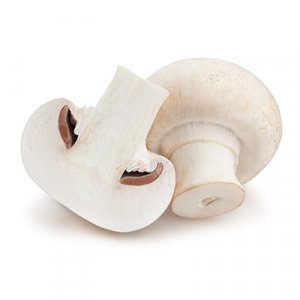 פטריות שמפיניון מגה