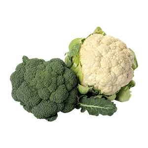 ברוקובית מארז מיקס ברוקולי כרובית